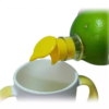 Innovative design for direct juice extraction