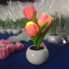 Pink tulip night light with soft illumination
