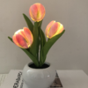 Glowing tulip flowers with green leaves in pot