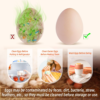 Cleaning fresh eggs with an ergonomic egg brush